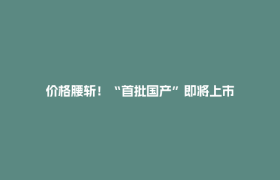 价格腰斩！“首批国产”即将上市