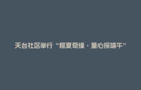 天台社区举行“粽夏奇缘·童心探端午”主题活动