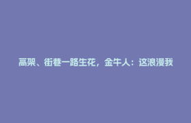 高架、街巷一路生花，金牛人：这浪漫我熟！