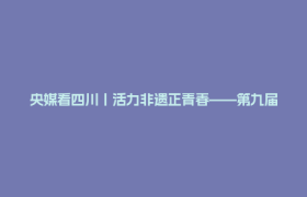 央媒看四川丨活力非遗正青春——第九届中国成都国际非遗节见闻