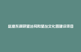 赵继东调研望丛祠和望丛文化园建设项目