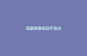 区委常委会召开会议