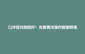 以评促优树标杆！友爱镇龙溪村散居院落环境评比见实效