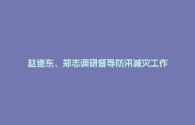 赵继东、郑志调研督导防汛减灾工作
