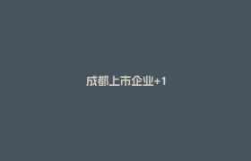 成都上市企业+1