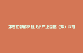 郑志在郫都高新技术产业园区（筹）调研并召开座谈会