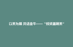 以茶为媒 共话金牛——“投资盖碗茶”走进大湾区