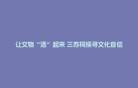 让文物“活”起来 三苏祠探寻文化自信“新表达”