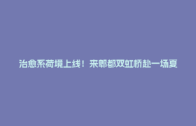 治愈系荷境上线！来郫都双虹桥赴一场夏日浪漫之约
