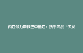 内江倾力帮扶巴中通江：携手同战“欠发达”，共绘振兴新篇章