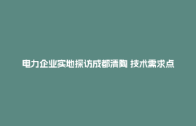 电力企业实地探访成都清陶 技术需求点燃新能源合作热潮