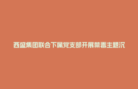 西盛集团联合下属党支部开展禁毒主题沉浸式学习活动