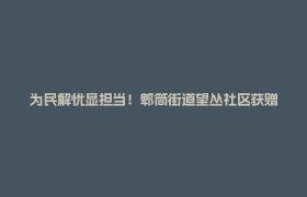 为民解忧显担当！郫筒街道望丛社区获赠两面致谢锦旗