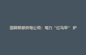 国网郫都供电公司：电力“红马甲” 护航中考路