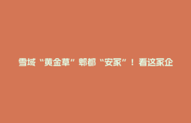 雪域“黄金草”郫都“安家”！看这家企业如何实现冬虫夏草工厂化培育生产