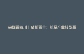 央媒看四川丨成都青羊：航空产业转型高飞