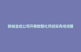 鹃城金控公司开展数智化风控实务培训暨“赛课”活动