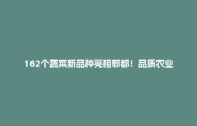 162个蔬菜新品种亮相郫都！品质农业解锁丰收新图景