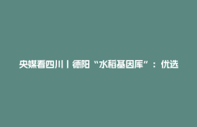 央媒看四川丨德阳“水稻基因库”：优选“一粒种” 种出“省心田”