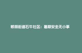郫筒街道石牛社区：暑期安全无小事  防患未然护成长