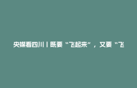 央媒看四川丨既要“飞起来”，又要“飞得稳”——四川多措并举促低空经济乘势高飞