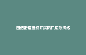 团结街道组织开展防汛应急演练