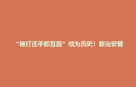 “被打还手即互殴”成为历史！新治安管理处罚法来了