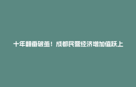 十年翻番破茧！成都民营经济增加值跃上1.18万亿新高地