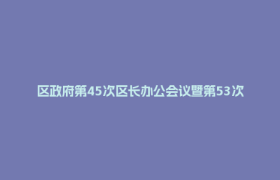 区政府第45次区长办公会议暨第53次常务会议召开