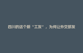 四川的这个新“工友”，为何让外交部发言人转发点赞？