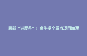 刷新“进度条”！金牛多个重点项目加速推进