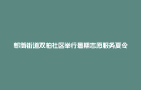 郫筒街道双柏社区举行暑期志愿服务夏令营开营活动