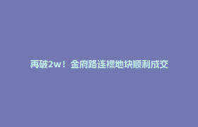再破2w！金府路连襟地块顺利成交