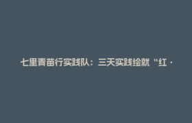 七里青苗行实践队：三天实践绘就“红·创·绿”青春画卷