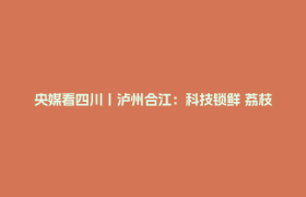央媒看四川丨泸州合江：科技锁鲜 荔枝不再“一日色变”