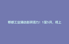 郫都工业涌动澎湃活力！1至5月，规上工业增加值增长10.6%