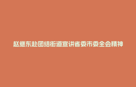 赵继东赴团结街道宣讲省委市委全会精神并调研经济社会发展