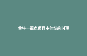 金牛一重点项目主体结构封顶