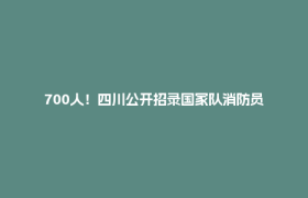 700人！四川公开招录国家队消防员