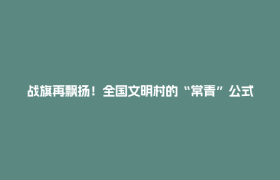 战旗再飘扬！全国文明村的“常青”公式：党旗红+生态绿+制度实+民风淳