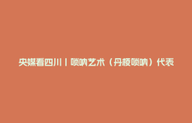 央媒看四川丨唢呐艺术（丹棱唢呐）代表性传承人杨家文：一曲乡音奏古今