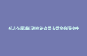 郑志在犀浦街道宣讲省委市委全会精神并开展深入贯彻中央八项规定精神学习教育讲党课活动