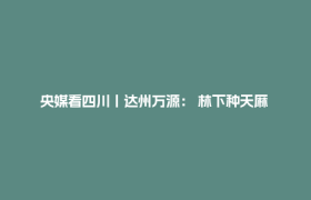 央媒看四川丨达州万源： 林下种天麻 致富好产业