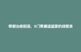 郫都治愈稻海，0门票邂逅盛夏的绿意浪漫！