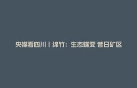 央媒看四川丨绵竹：生态蝶变 昔日矿区变身“避暑天堂”