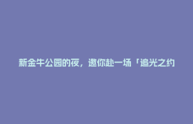 新金牛公园的夜，邀你赴一场「追光之约」