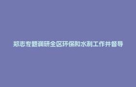 郑志专题调研全区环保和水利工作并督导中央环保督察整改