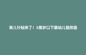 育儿补贴来了！3周岁以下婴幼儿每孩每年3600元