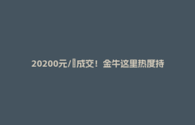 20200元/㎡成交！金牛这里热度持续攀升→