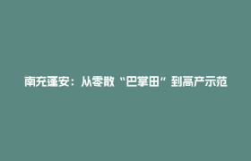 南充蓬安：从零散“巴掌田”到高产示范片 激活丘区现代农业发展新动能